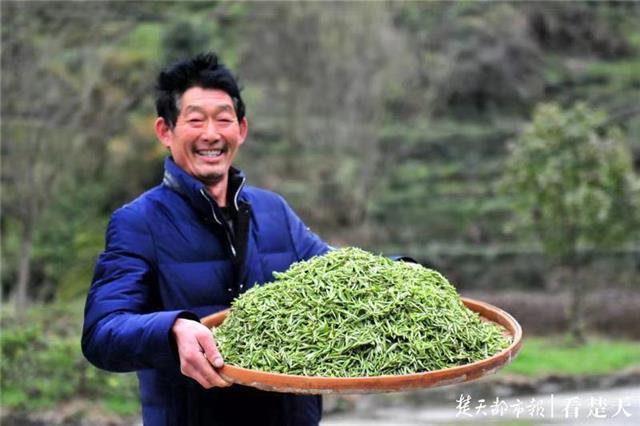 最新夷陵新聞，探索自然美景的旅程，尋覓內(nèi)心平和之地