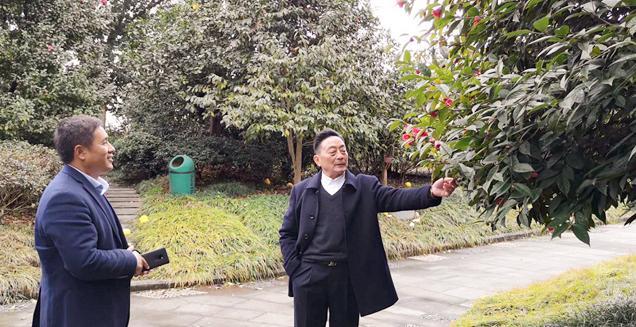 最新花木求購，開啟一場(chǎng)尋綠之旅的溫馨旅程
