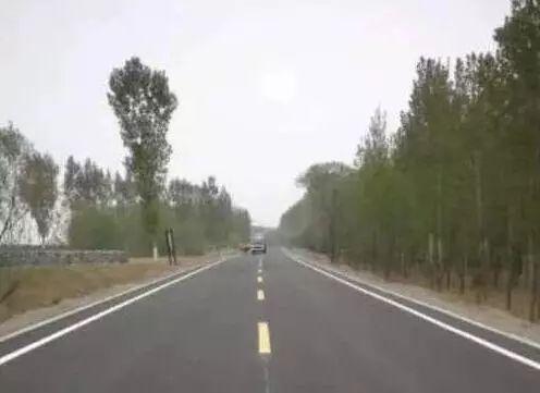 科技前沿與社會熱點最新新聞材料速遞