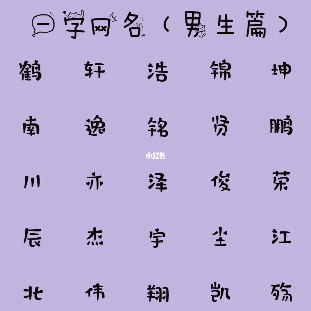 最新男生網(wǎng)名，時(shí)代潮流與虛擬身份的完美融合塑造