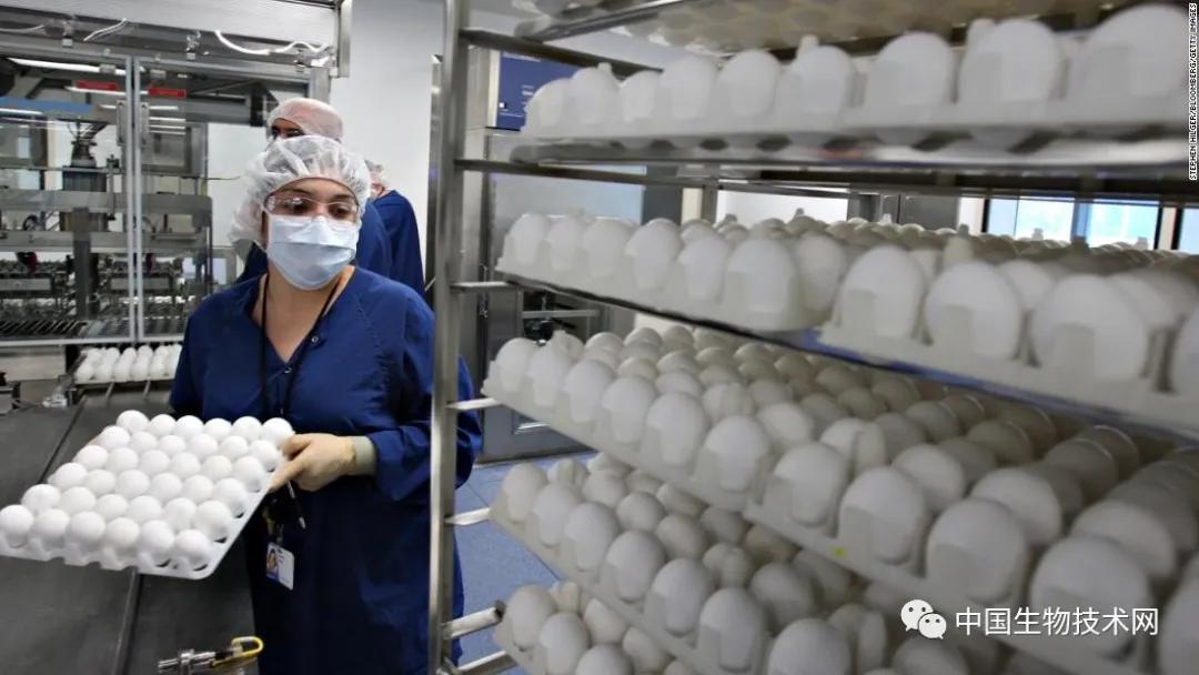 最新流感疫苗，科技助力健康新生活保護(hù)您免受流感侵襲