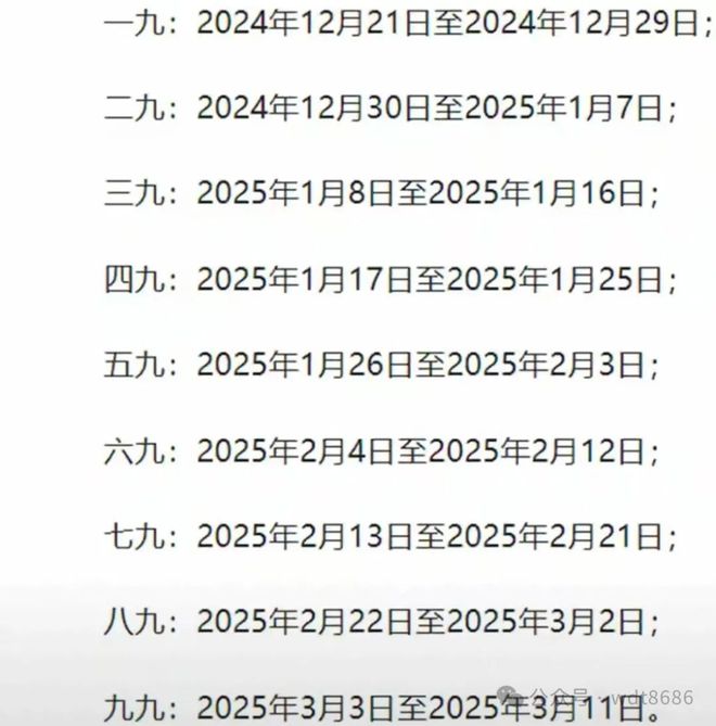 最新久久網(wǎng)2025，友情小船與溫馨日常的交織