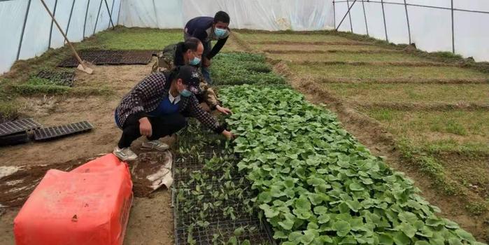 策勒最新招聘啟航人才新篇章，學(xué)習(xí)變化，擁抱自信與成就，啟程人生新征程！