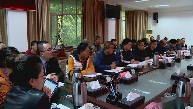 德昌最新新聞，擁抱自然，心靈寧靜之旅啟程