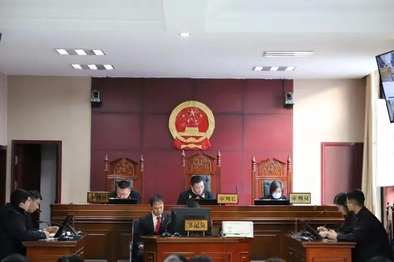 偏關(guān)最新案件深度解析，揭示真相，關(guān)注社會(huì)公正與公平