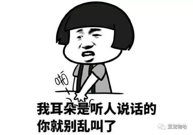 最新枕邊笑話，科技小寶貝，生活添樂趣