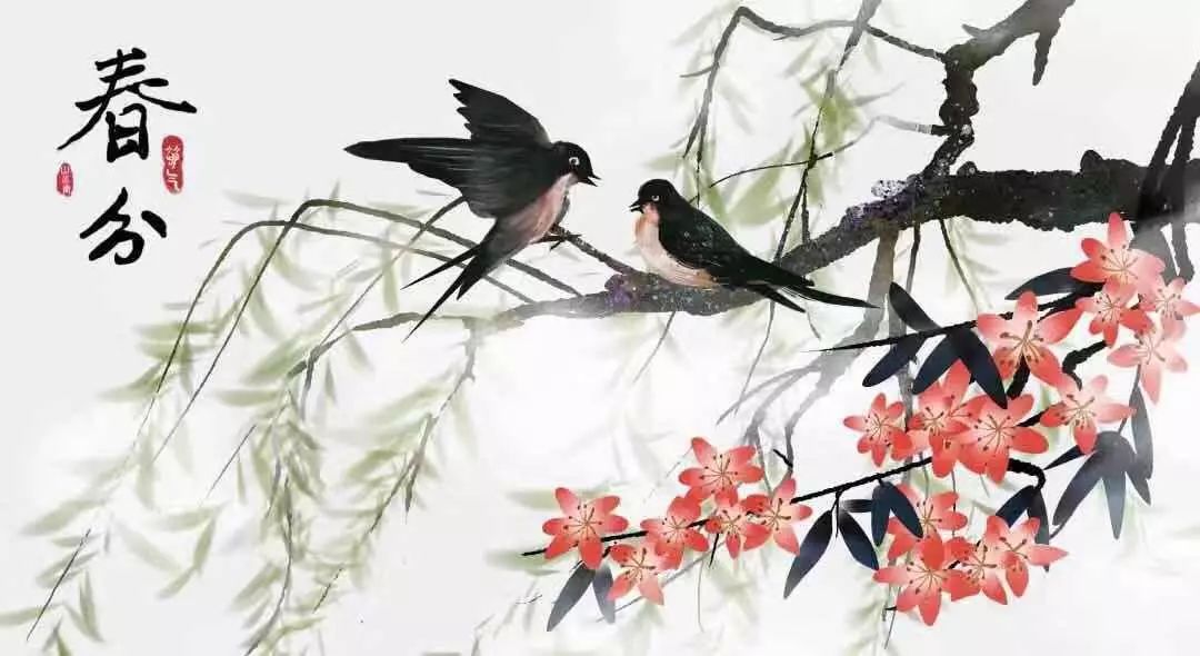 春分最新圖片，展現(xiàn)自然之美的瞬間