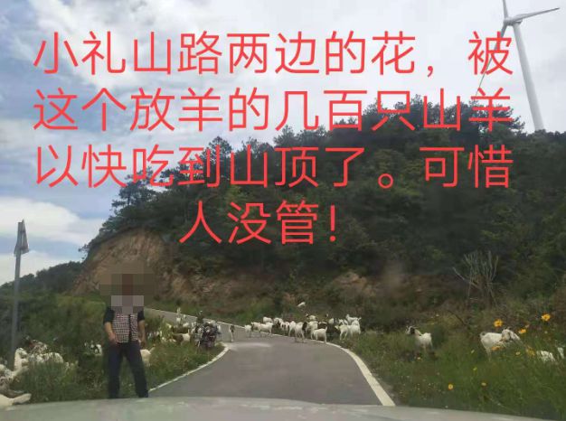大悟最新路，探索未知，自信成就夢想之旅的啟程