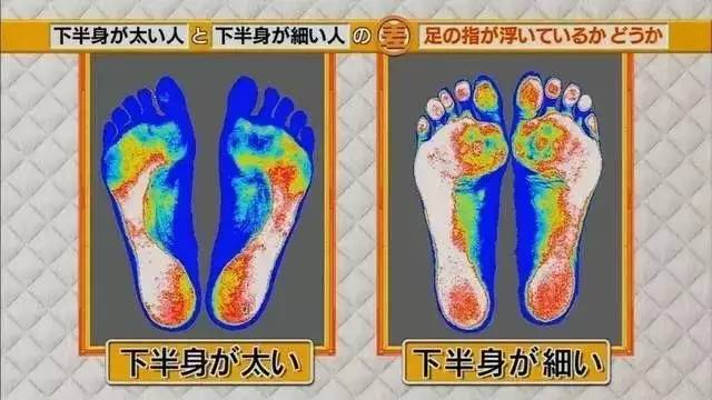 最新地趾論述，探索、爭議與觀點綜述