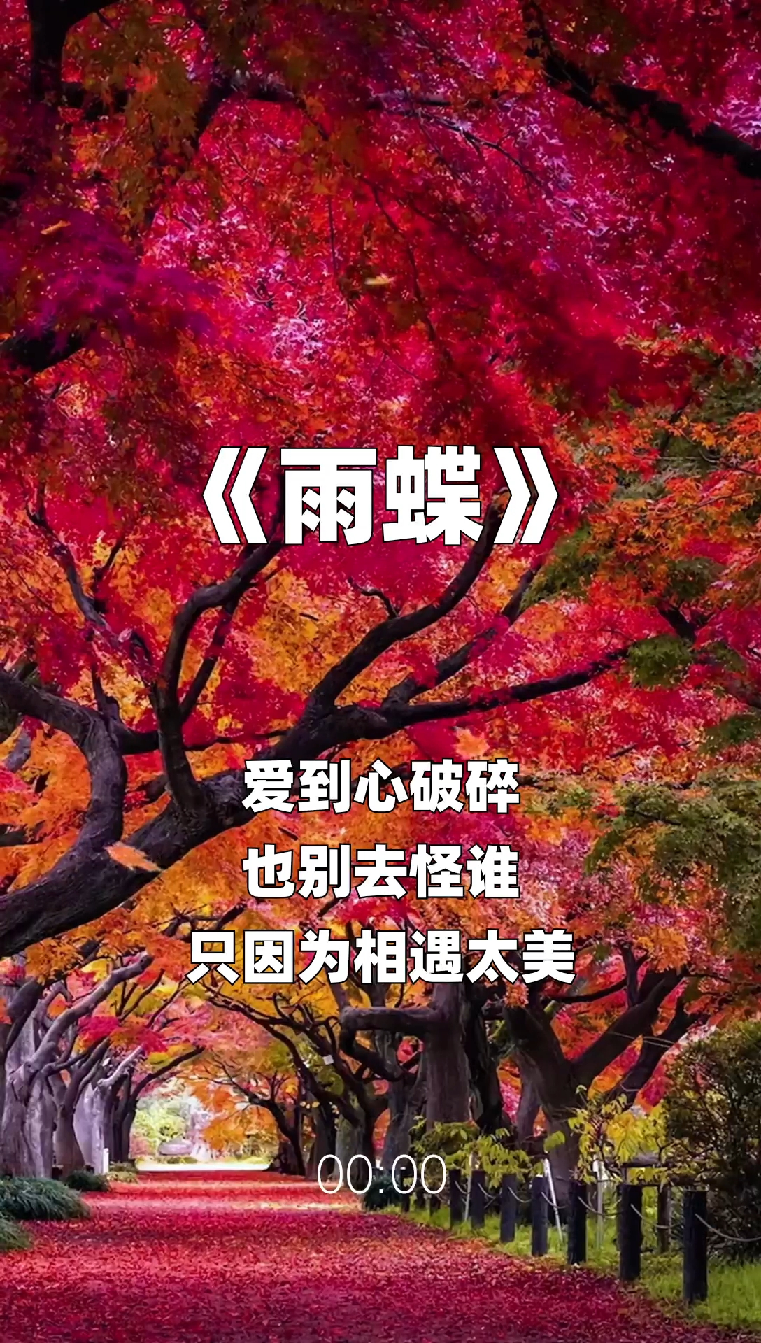 雨蝶最新步驟指南，如何完成任務(wù)或?qū)W習(xí)技能？