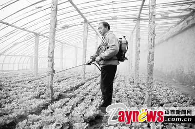 最新農(nóng)藥抽檢結(jié)果出爐，守護(hù)農(nóng)田安全，你我他的共同責(zé)任