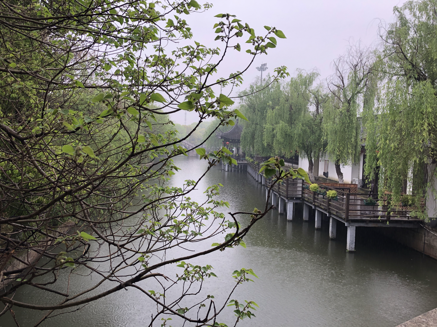江南煙雨最新，自信與成就感的成長之旅