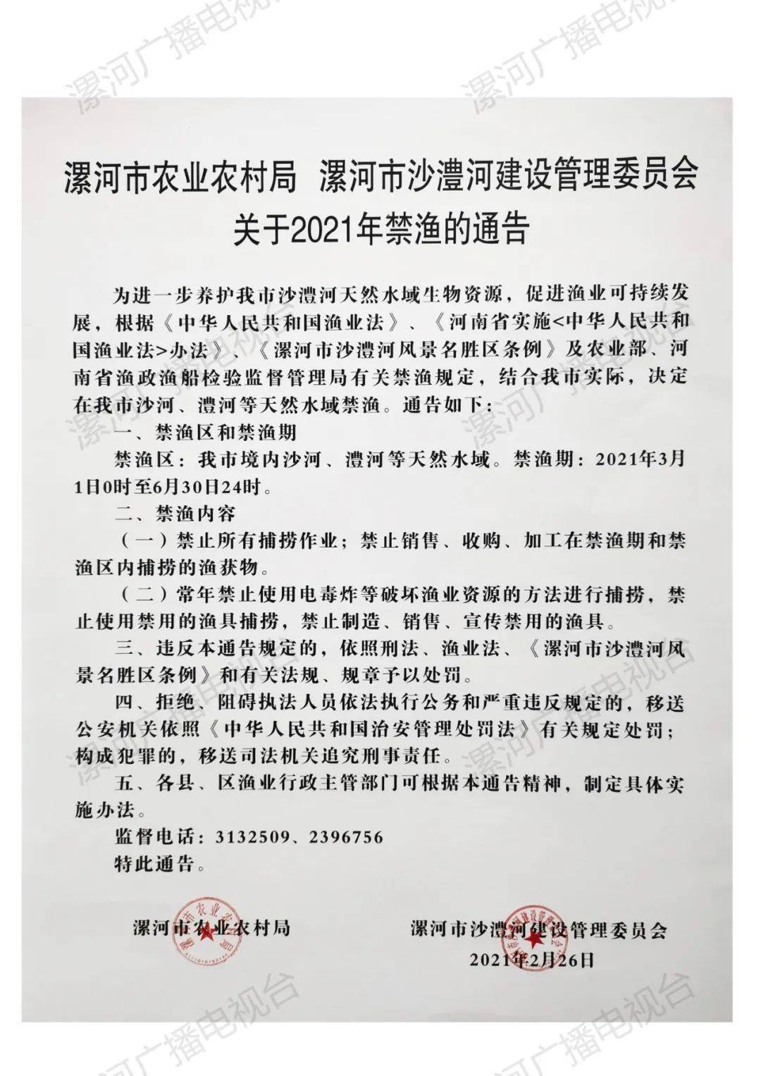 漯河最新通告，探索自然美景，尋覓內(nèi)心寧靜與平和之旅