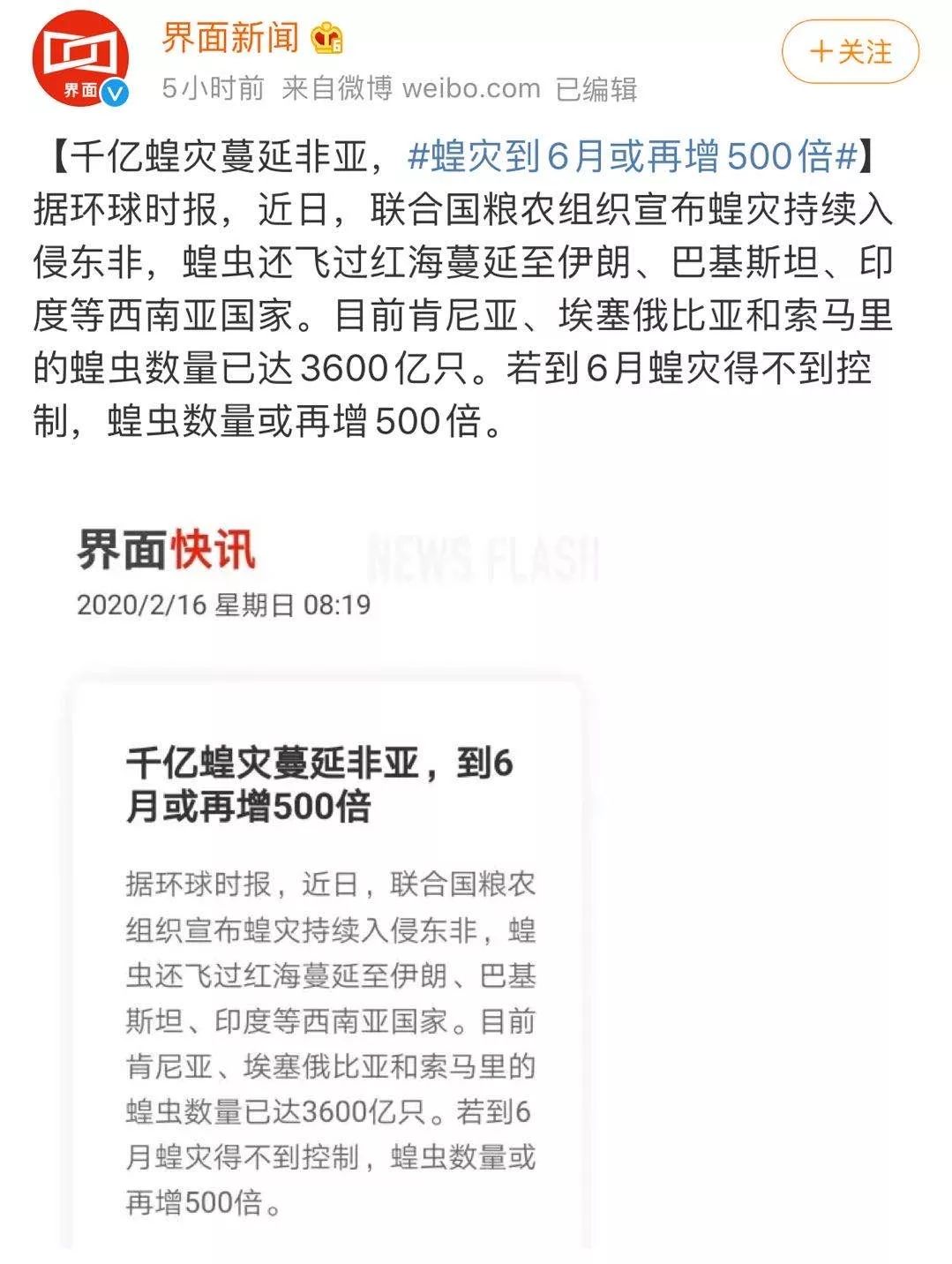 世界蝗災(zāi)最新動(dòng)態(tài)，探索自然美景的輕松之旅
