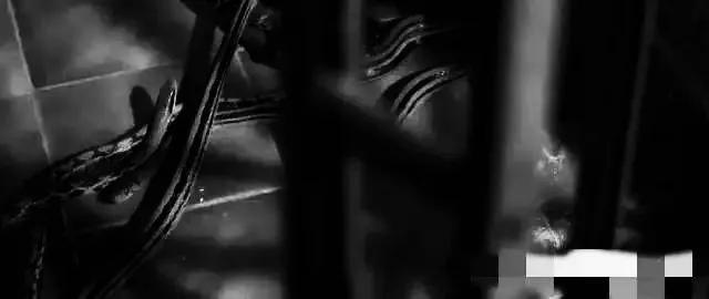 香港最新房?jī)r(jià)趨勢(shì)展望，2025年分析與展望