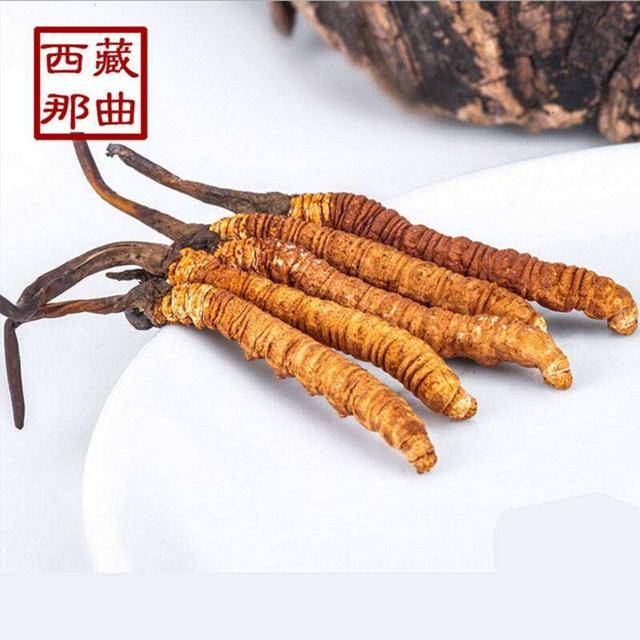 揭秘2025年蟲草最新價(jià)格，探尋小巷中的秘密行情！