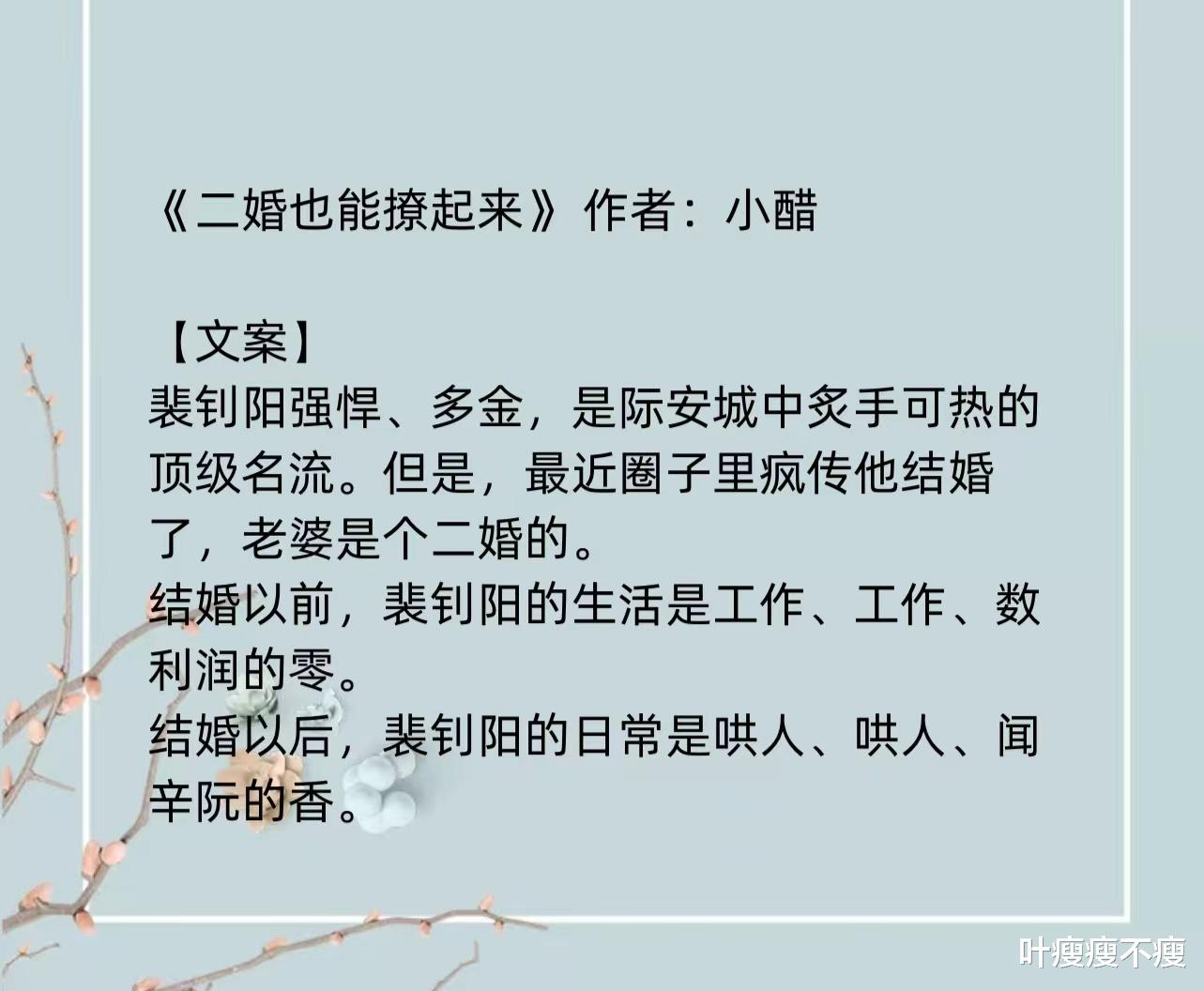 最新二婚小說(shuō)，小巷深處的浪漫故事