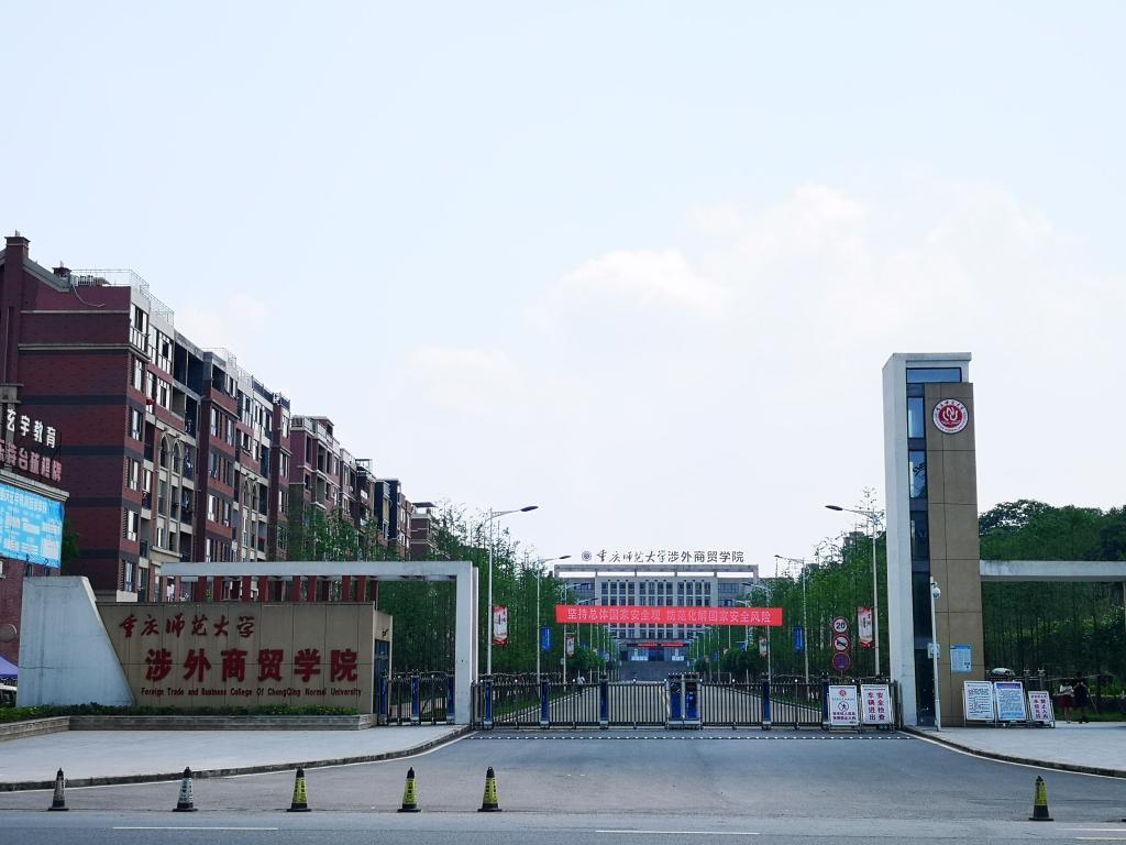 最新本科專業(yè)探秘，小巷中的隱藏寶藏之門