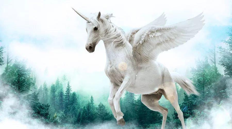 中國最新獨(dú)角獸，自信與成就感的源泉